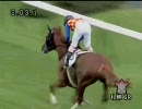 3歳未勝利_テーオージュピター