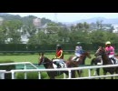 阪神競馬場のメイクデビューと第14回プロキオンステークス