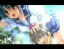 ナツメグop