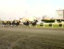 ７月16日　川崎競馬第4レース　１５００ｍ（１１頭立て）