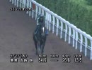 ウオッカがトレーニング