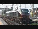 なごみ（和）団体臨時列車新白岡駅通過
