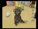 牧場物語わくわくアニマルマーチでずさんな牧場経営　第135回