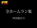 甲子園ﾄﾞﾘｰﾑﾏｯﾁ(65)ホームラン・プレイバック