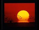 【初音ミク】World of Resonance【オリジナル曲】