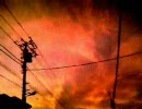 「celluloid」を歌ってみた。【ゆずコショウ】