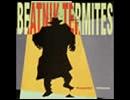 Beatnik Termites      The KKK Took My Baby Away