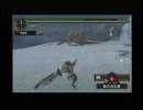 【MHP2G】 地獄から来た兄弟