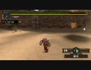 [MHP2G]頑張ります　武神闘宴　　VS申し子の人[片手剣]
