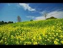 【改めて】ひぐらしのなく頃に　you 【歌ってみた】めぷ(´･ω･`)