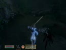 【oblivion】ウェスタヲリでいく暗殺ギルドの旅18【FEZ】