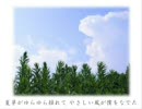 AIRの風景を求めて 夏影編3