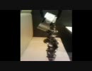 【鬼忍日記】 鬼忍振られた数 1