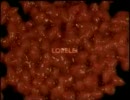上杉昇-LORELEI