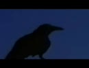 Robbie Robertson - Ghost Dance