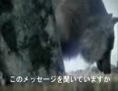 実況が終わったのでニコニコ組曲【CCFF7×FF7AC】を歌ってみた