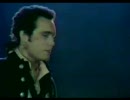 Adam Ant／Friend or Foe