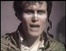 Adam and the Ants／Dog Eat Dog