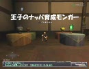 FF11 - 王子のナッパ育成モンガー　前編