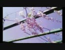 「想い焦がれて茜色」を歌ってみました。