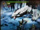 【MH3】スラッシュアックスで村ベリオロス狩ってみた