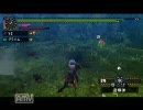 【MHP2G】 ナルガとへたくそハンター