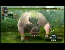 【MHP2G】にわか実況プレイ【ここのかめ】