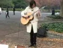 Guitarist ダニエルコフリン　カノン