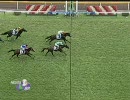 3歳上500万_アグネスエナジー