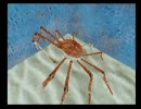 【ビビり実況】ＥＶＥＲ ＢＬＵＥ２を実況プレイ　その１７