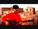 ウミネコサウンズ - 夕焼け