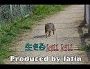 [Latinとmilky]生きるKILLKILL