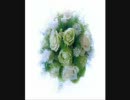 【巡音ルカ】幸せのうた【オリジナル/anpan】