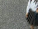 AKB48 制服が邪魔をする