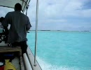 【2009夏】 パラオ - ダイビング写真