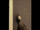 【ニコラップ】 growth makes me sad 【better luck】