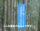 【適当に】静岡県県道63号を走ってみた・その３【走ってきた】