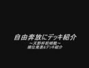 D0　自由奔放にデッキ紹介　～天野杯前哨戦～　順位＆デッキ紹介