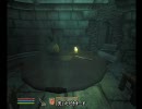 Oblivion プレイ動画 林檎追走記『首狩り斬姫が往く』　第十八話