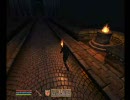Oblivion プレイ動画 林檎追走記『首狩り斬姫が往く』　第十九話