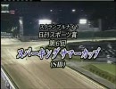 競馬　2009年 スパーキングサマーC（SⅢ）