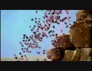 Sony Blavia CM Pylamid