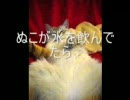 【帰ってきた】泥酔ぬこ【酔っ払い】