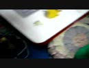 camera video1