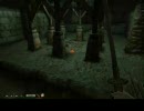 【PC版】Oblivion 生まれた意味を知る為に冒険する Part.3