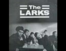 The LARKS／Maggie Maggie Maggie