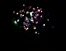 2009 大曲花火大会 05【創造花火の部】