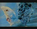 【Trance】Shane 54 - Souvenir de Chine【Full】