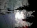 「celluloid」歌ってみました。【あっき～】