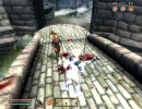 【oblivion】ウェスタヲリでいく暗殺ギルドの旅43【FEZ】